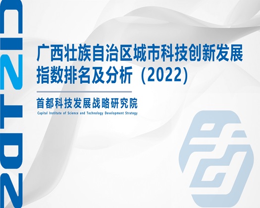 大鸡巴快操小骚逼视频【成果发布】广西壮族自治区城市科技创新发展指数排名及分析（2022）